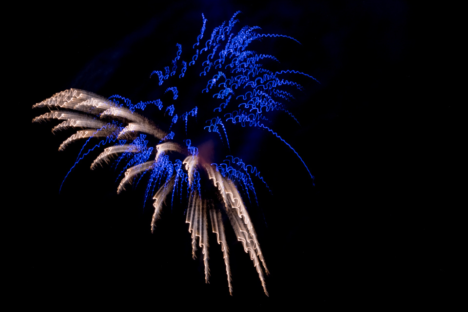 Sea Creature in Highlands, North Carolina