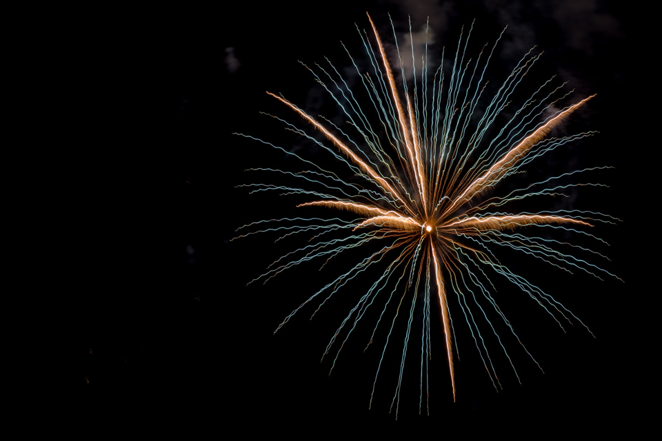 Fire Flower in Highlands, North Carolina