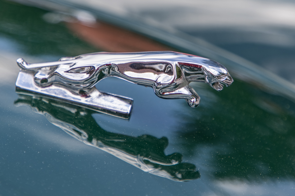 Jag in Highlands, North Carolina