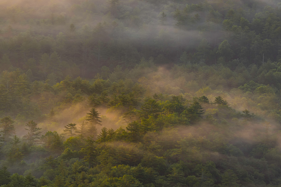 Orange Mist in Highlands, North Carolina
