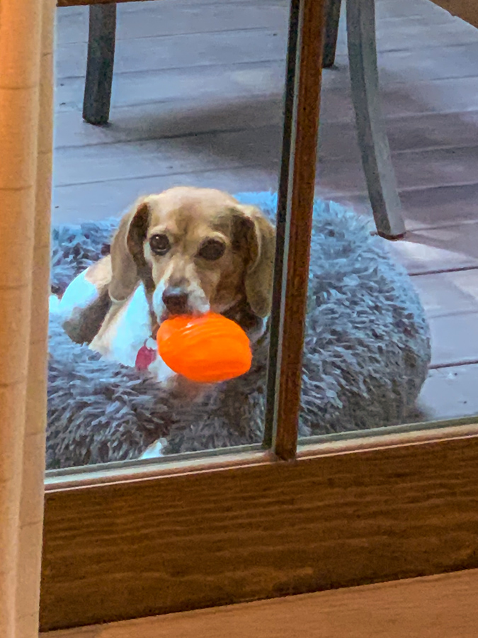 Treat Ball in Highlands, North Carolina