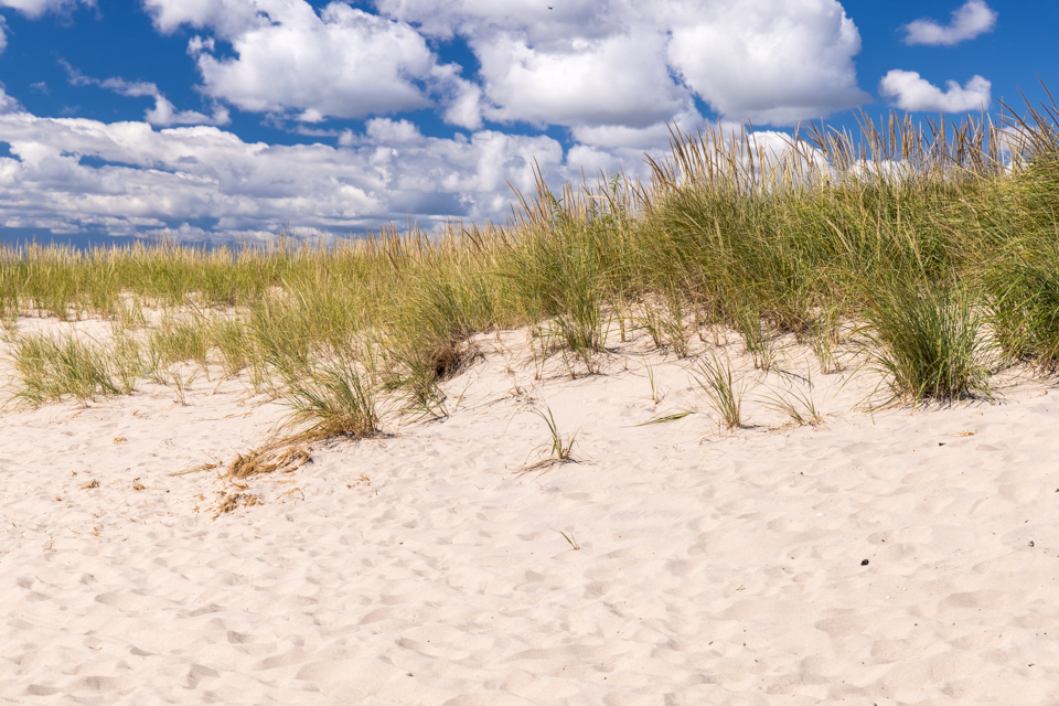 Dune Day in Sagaponack, New York