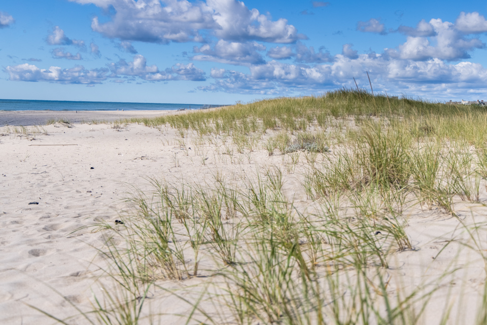 Beach in Sagaponack, New York