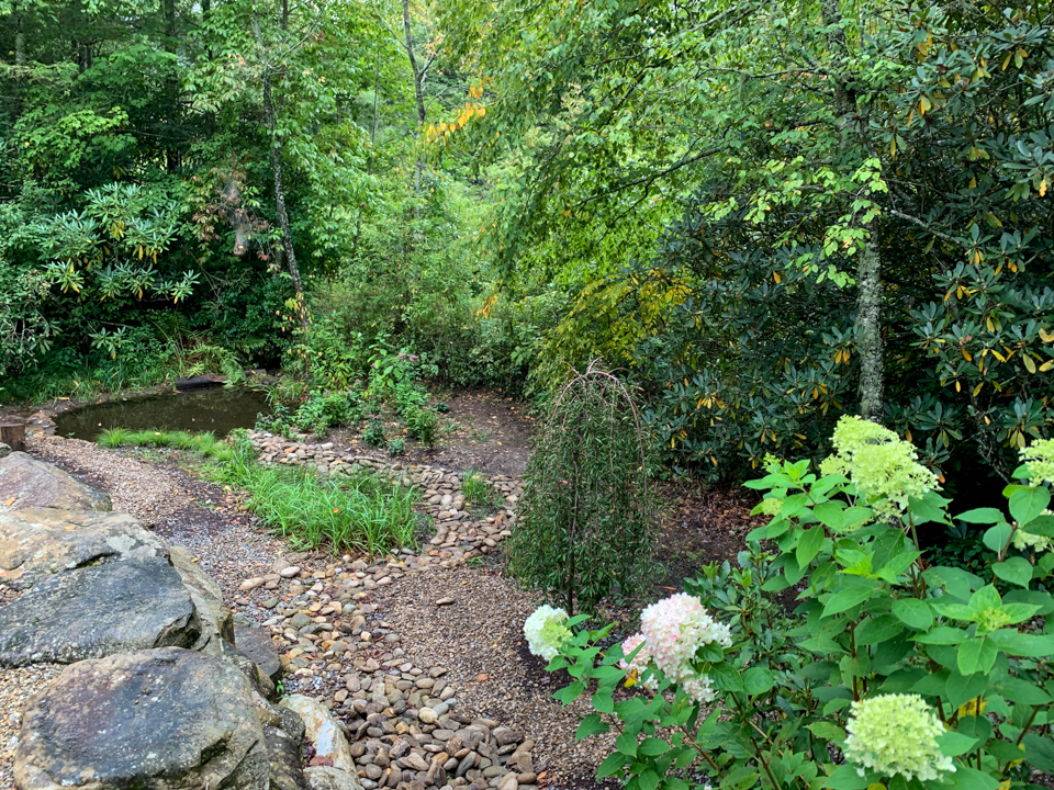 Backyard Bog in Highlands, North Carolina