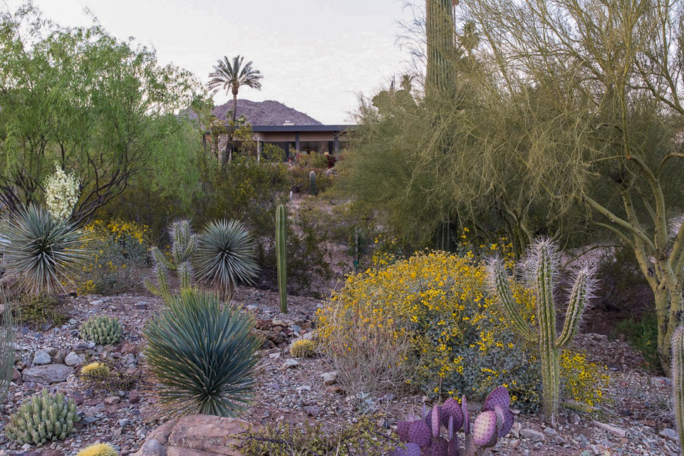 From the Road in Paradise Valley, Arizona