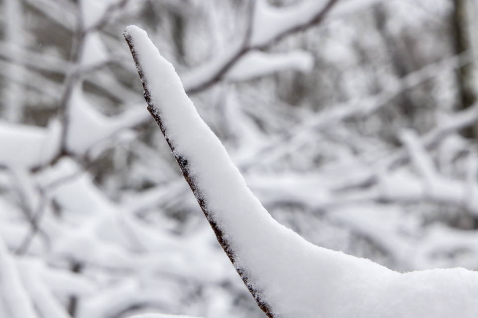 Stacked Snow in Highlands, North Carolina