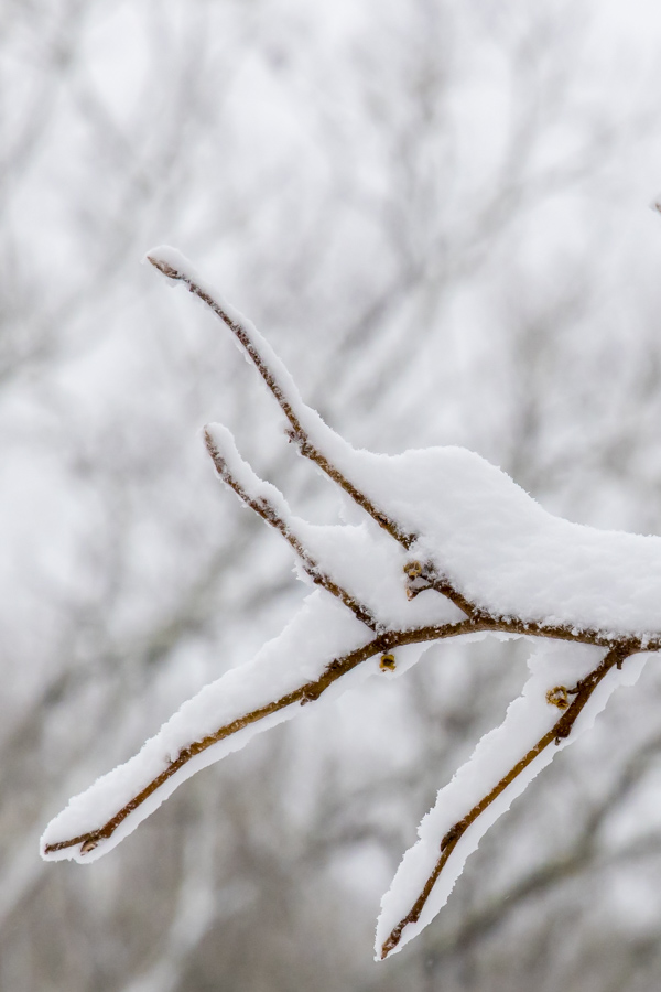 Snow Stack in Highlands, North Carolina