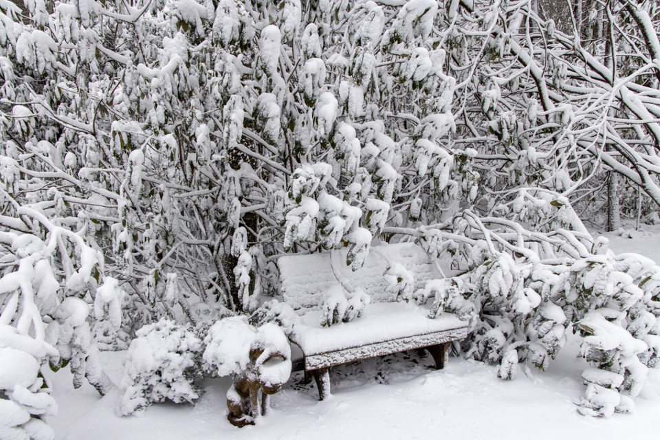 Backyard in Snow in Highlands, North Carolina