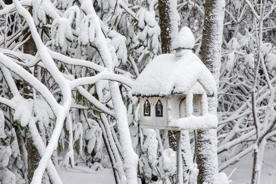 Birdchurch in Highlands, North Carolina