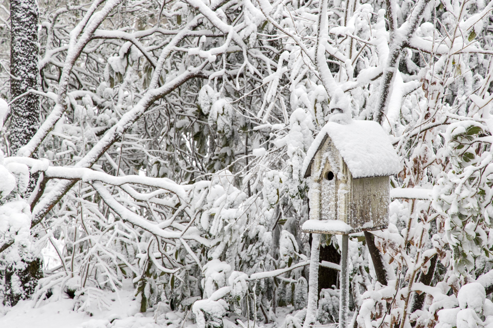 Birdhouse in Snow in Highlands, North Carolina