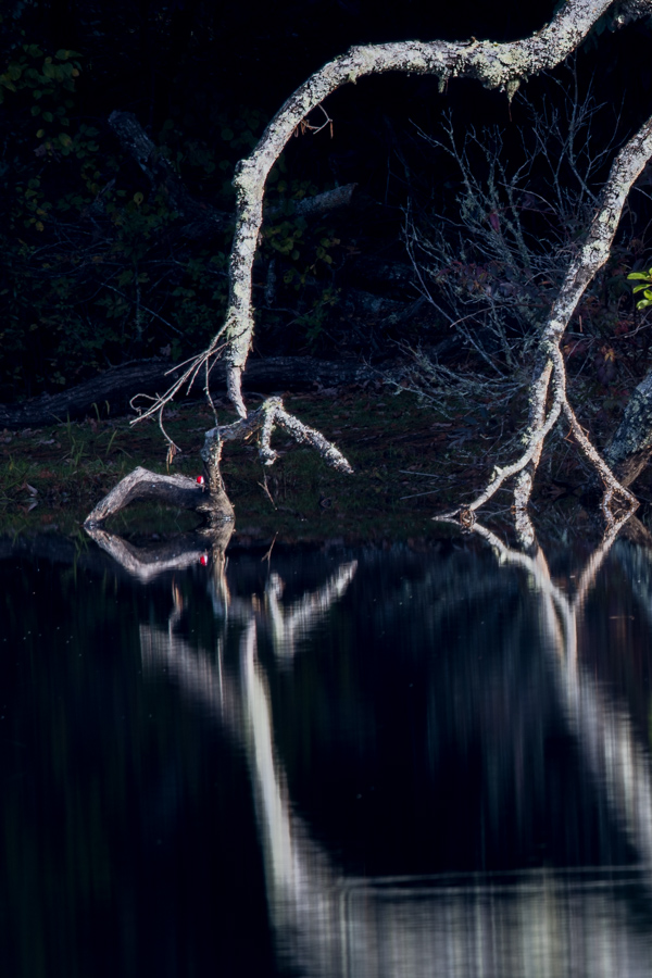 Reaching into the Lake in Highlands, North Carolina