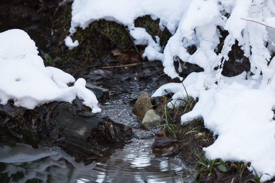 Pond Snow in Highlands, North Carolina