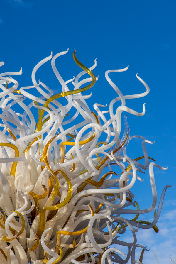 Entwined  in Phoenix, Arizona