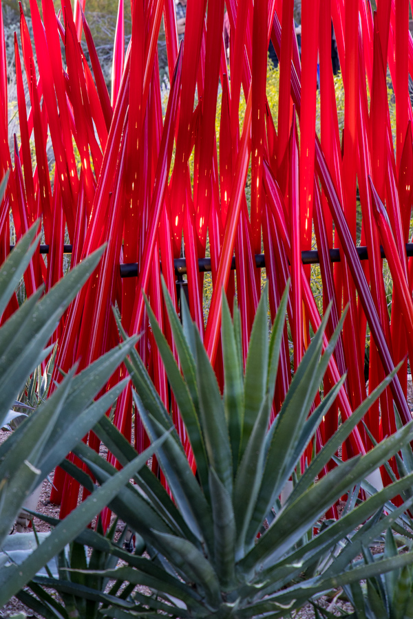 Sharp Edges in Phoenix, Arizona