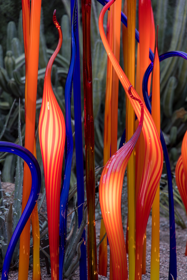 Desert Sculpture in Phoenix, Arizona