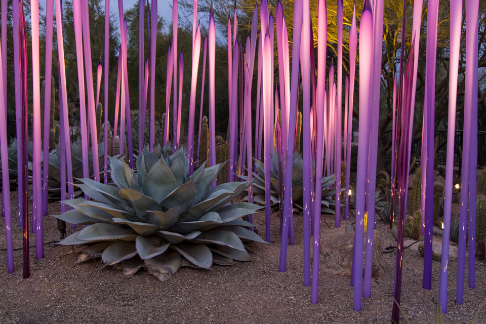 Purple Fence in Phoenix, Arizona