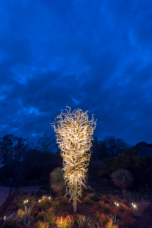 White Whirl in Phoenix, Arizona