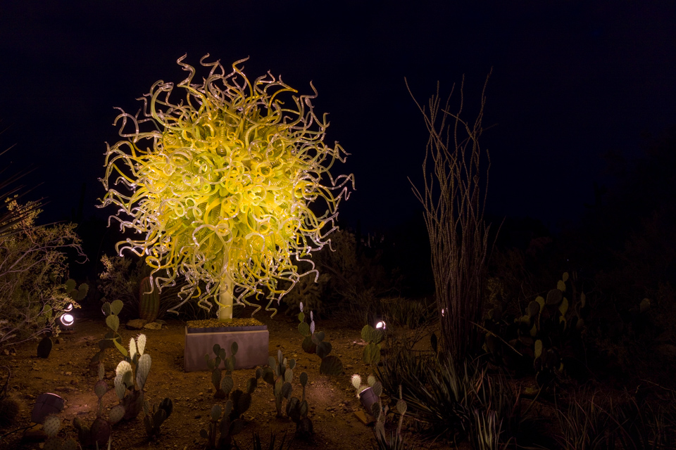 Golden Orb in Phoenix, Arizona