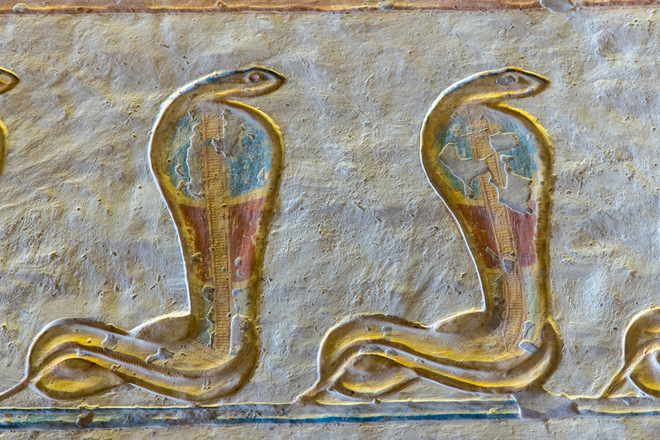 Cobra in Luxor, Egypt