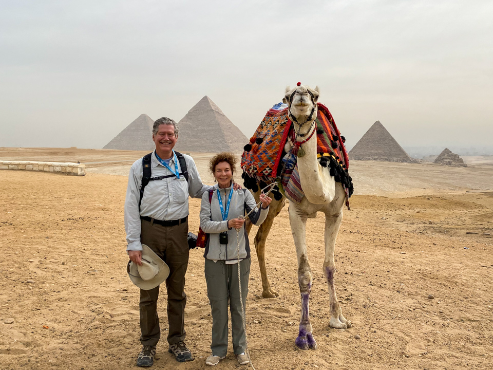 Giza Camel in Giza, Egypt