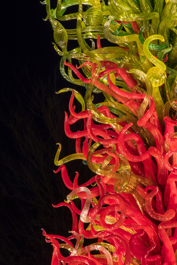 Red Tentacles in Phoenix, Arizona