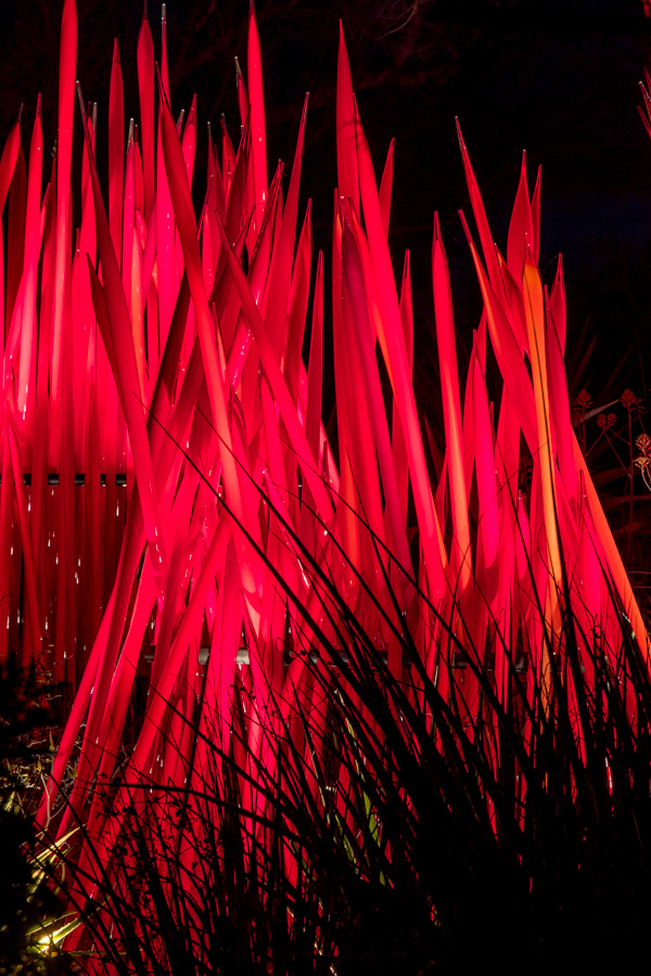 Red Sticks in Phoenix, Arizona
