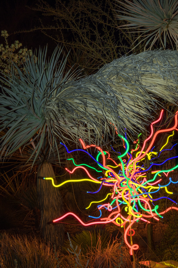 Yucca Light in Phoenix, Arizona