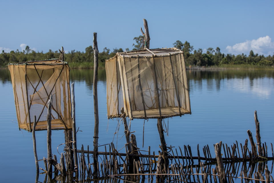 Traps in Tamatave, Madagascar