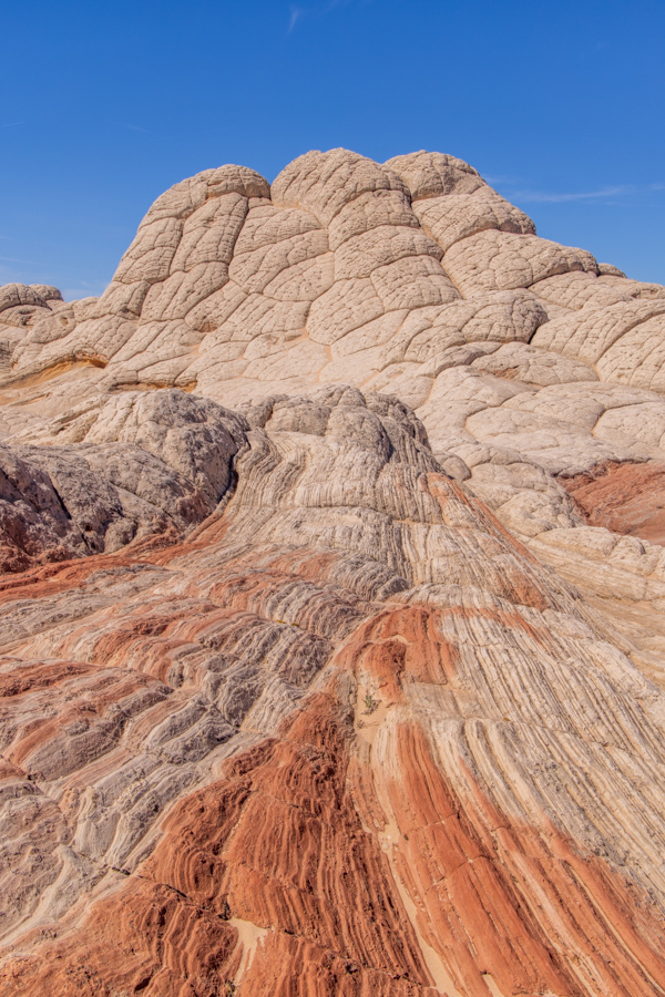Red Run in White Pocket, Arizona