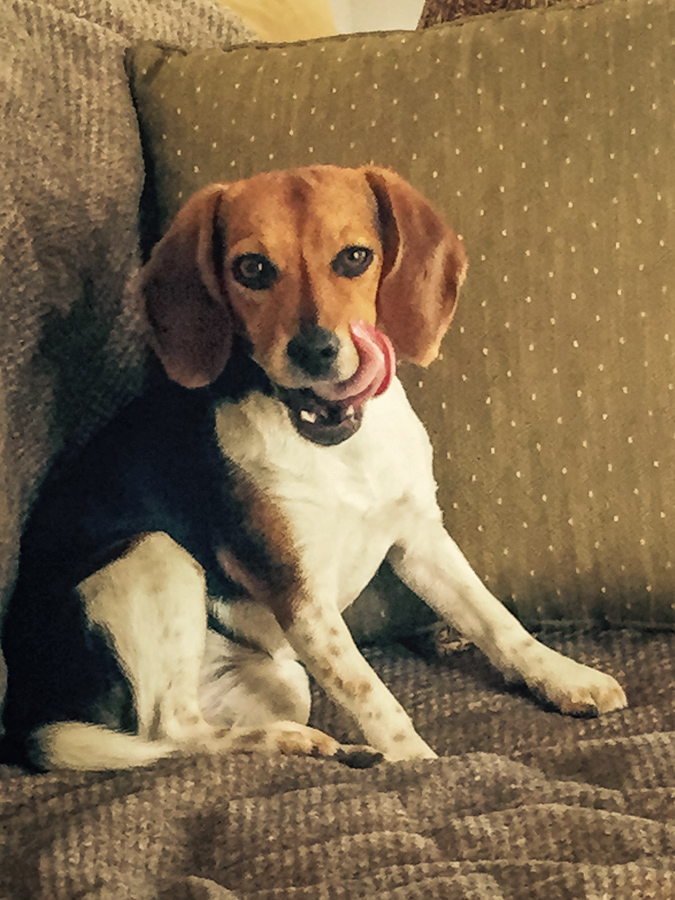 After a Treat in Austin, Texas