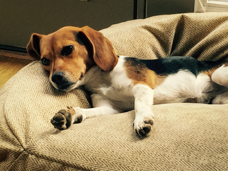 Reclining in Austin, Texas
