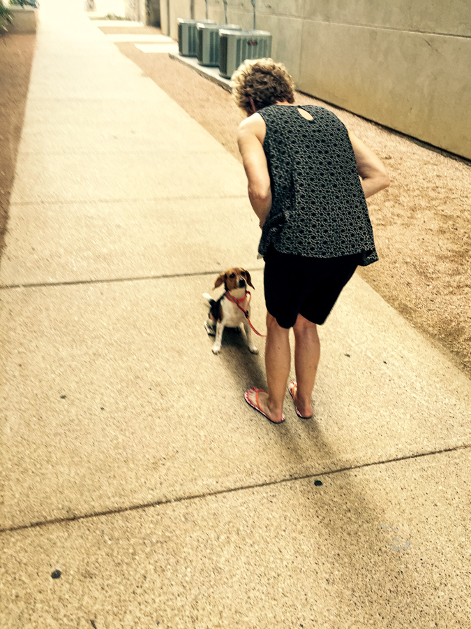 Training in Austin, Texas