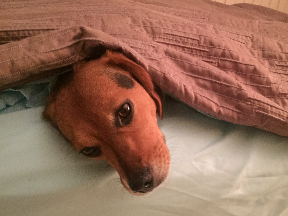 Staying Warm in Austin, Texas