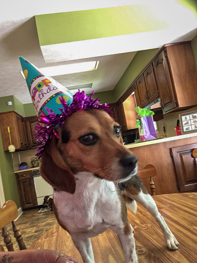 Party Girl in Columbus, Georgia