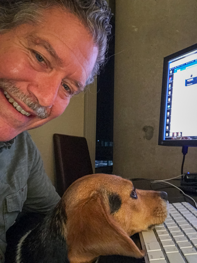 Beagle on Keyboard in Austin, Texas