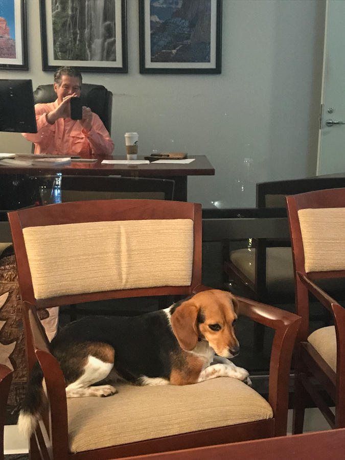 Riley at the Office in Austin, Texas