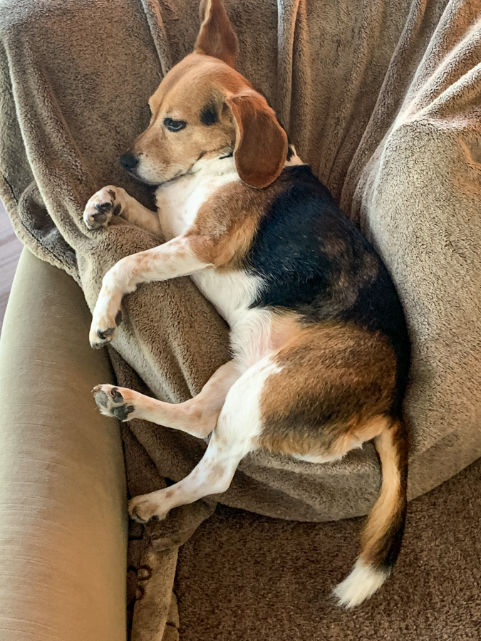 Resting in a Chair in Paradise Valley, Arizona