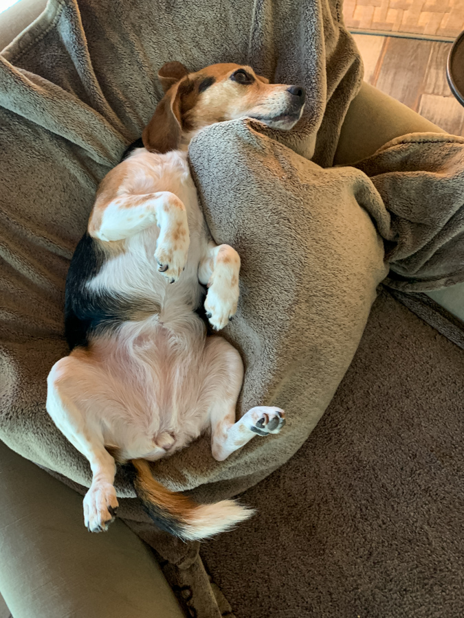 Tummy Up in Paradise Valley, Arizona