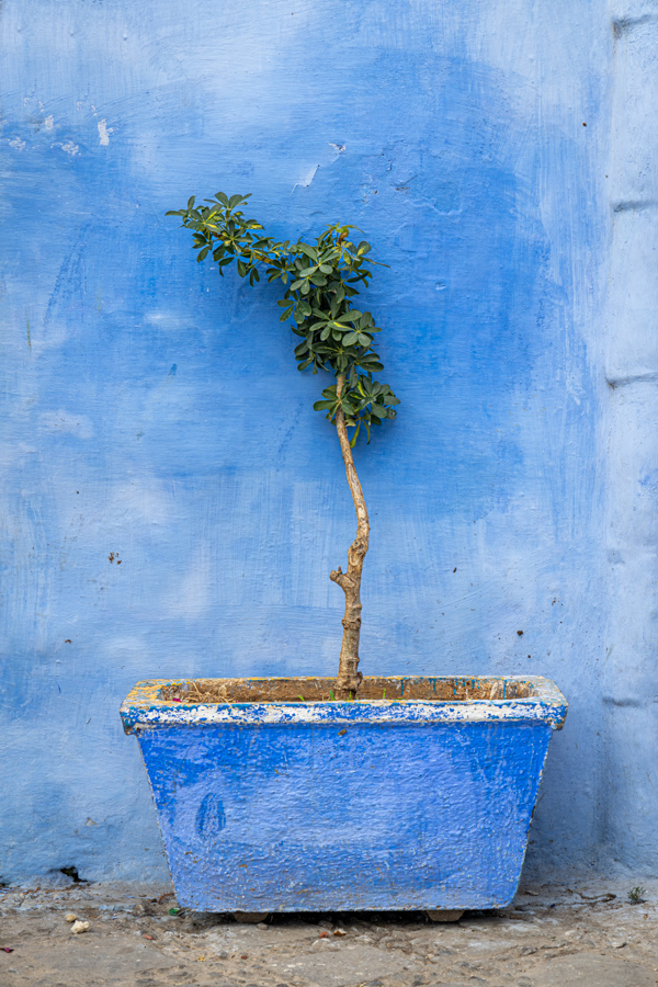 Framed in Blue in Chefchaouen, Morocco