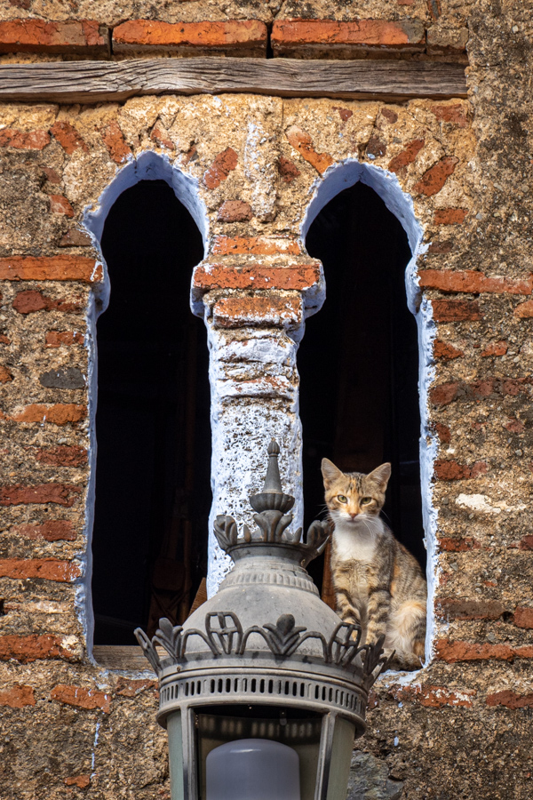 Watching in Chefchaouen, Morocco