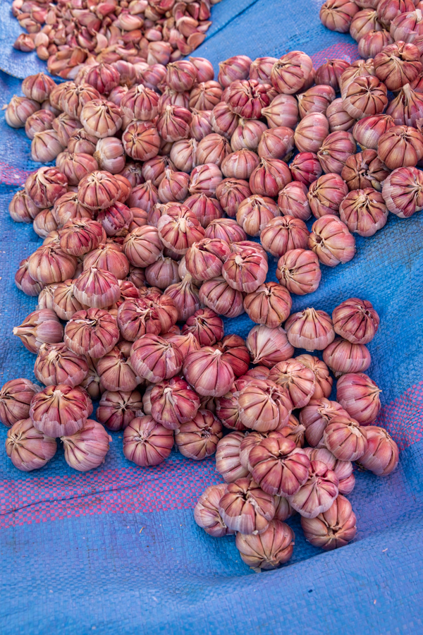 Garlic in Meknes, Morocco