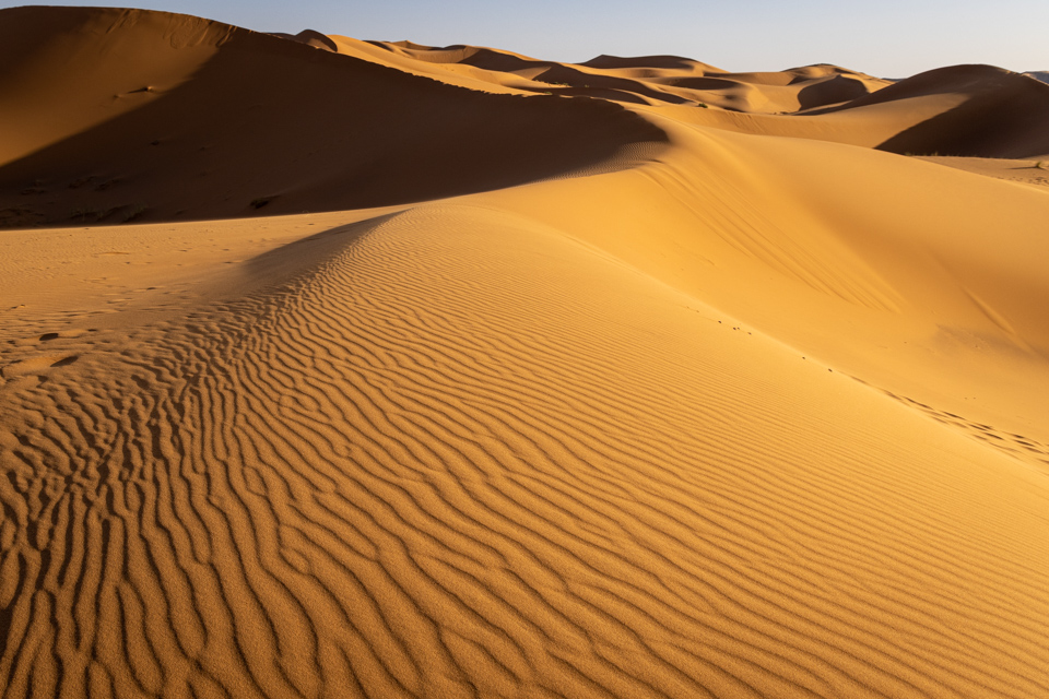 Ripples in Sahara, Morocco