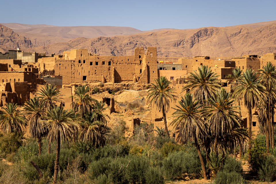 Oasis in Tinghir, Morocco