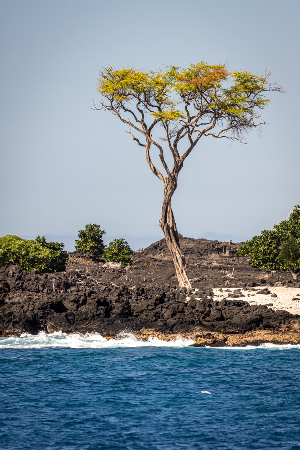 Determined in Kona, Hawaii