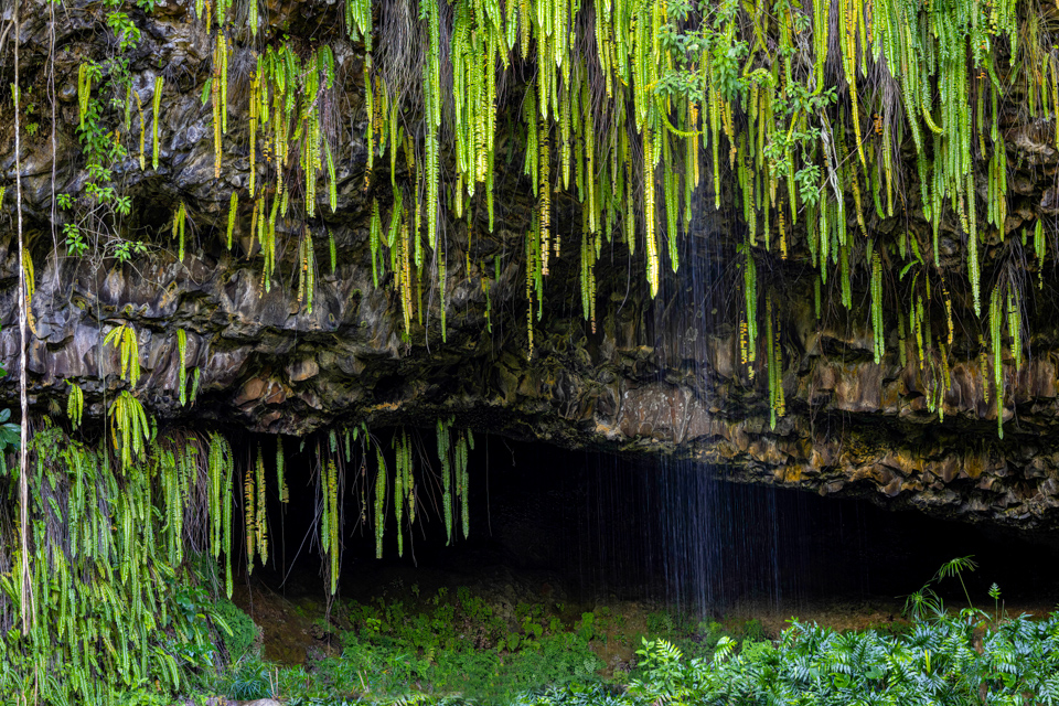 Fern Grotto in Nawiliwili, Hawaii