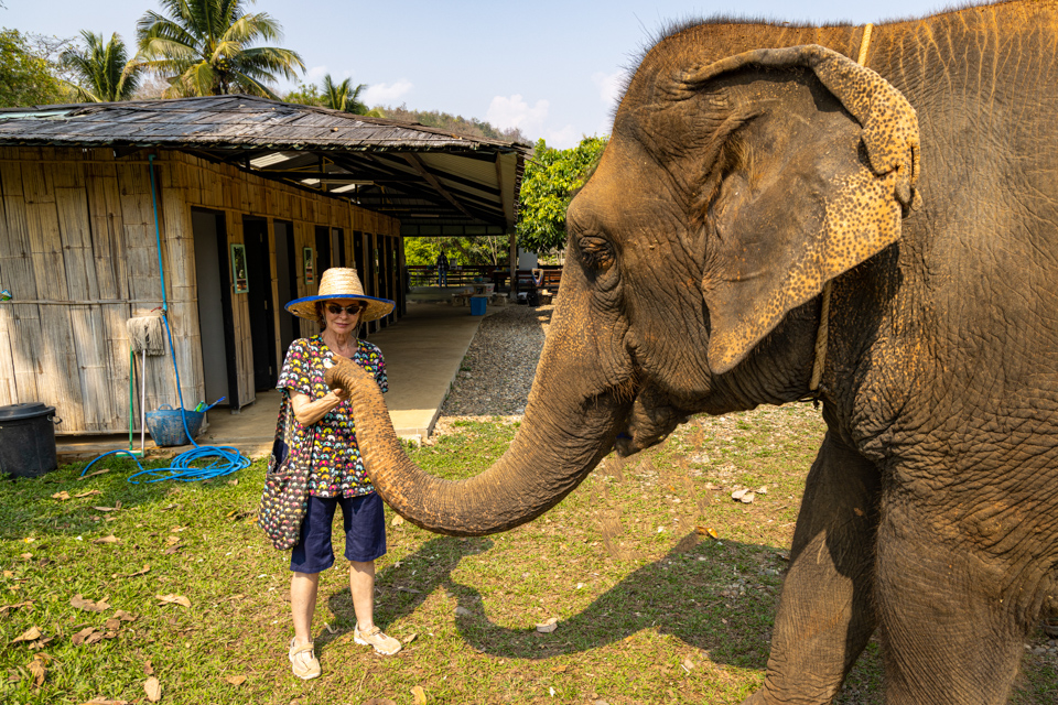 Nice Trunk in Chiang Mai, Thailand