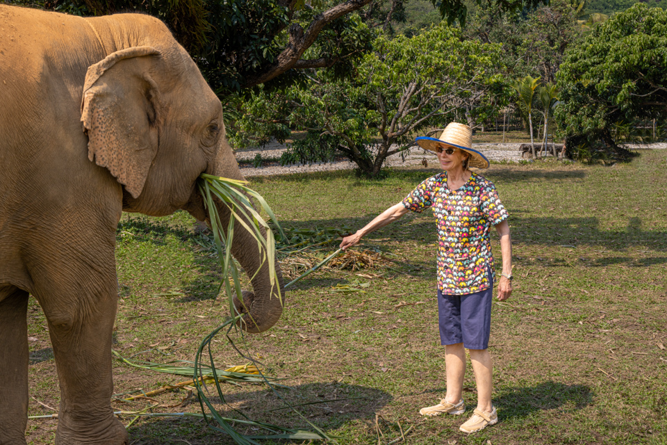 Another Shoot? in Chiang Mai, Thailand