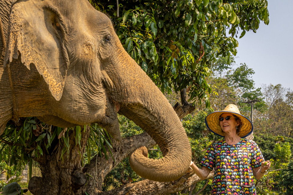 So Big! in Chiang Mai, Thailand