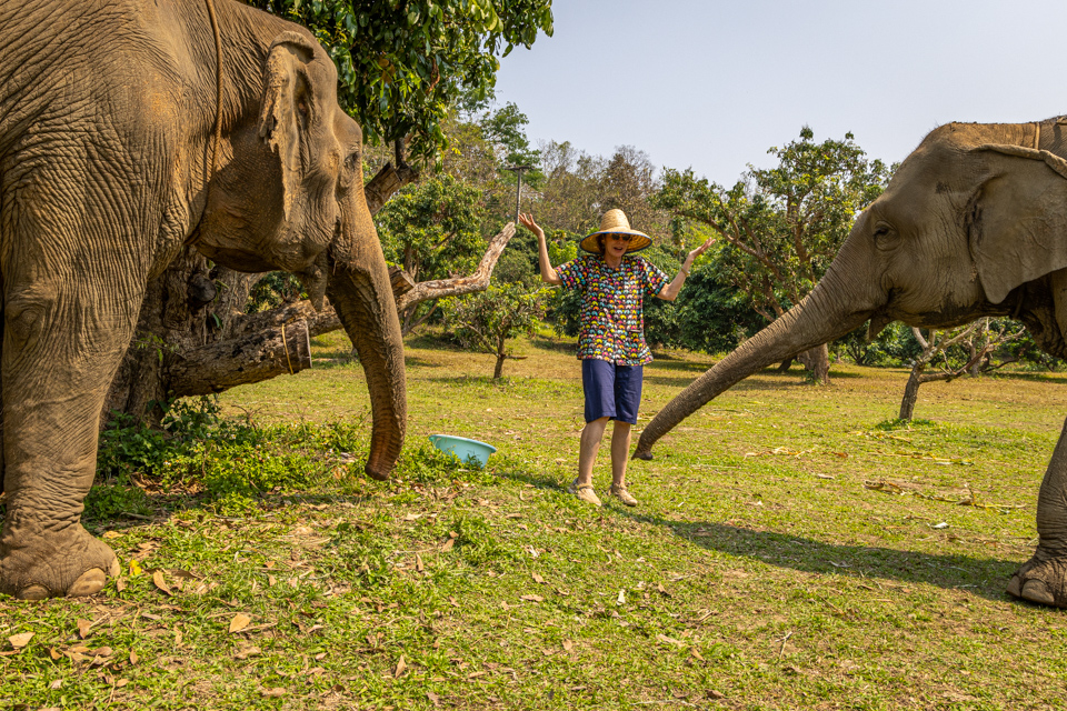 No More! in Chiang Mai, Thailand