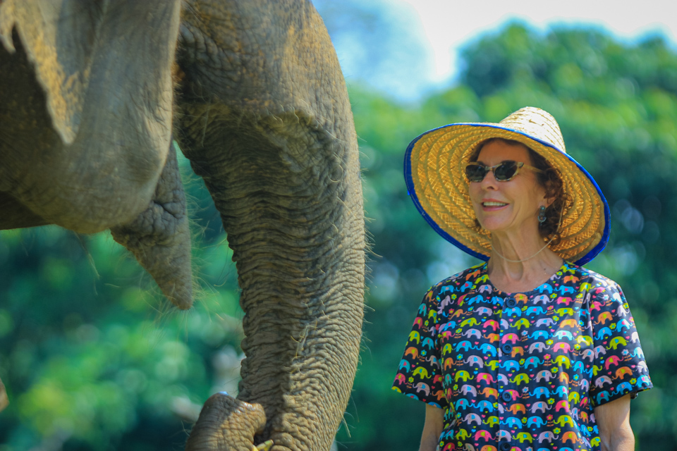 Joy in Chiang Mai, Thailand